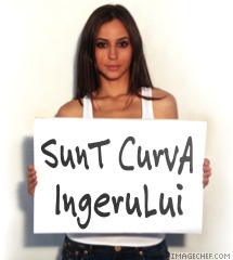 Ingerul Decazut